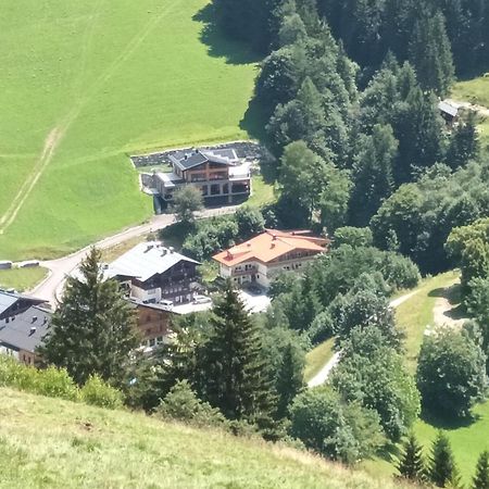 Haus Dienten Top 11 Dienten am Hochkönig Εξωτερικό φωτογραφία
