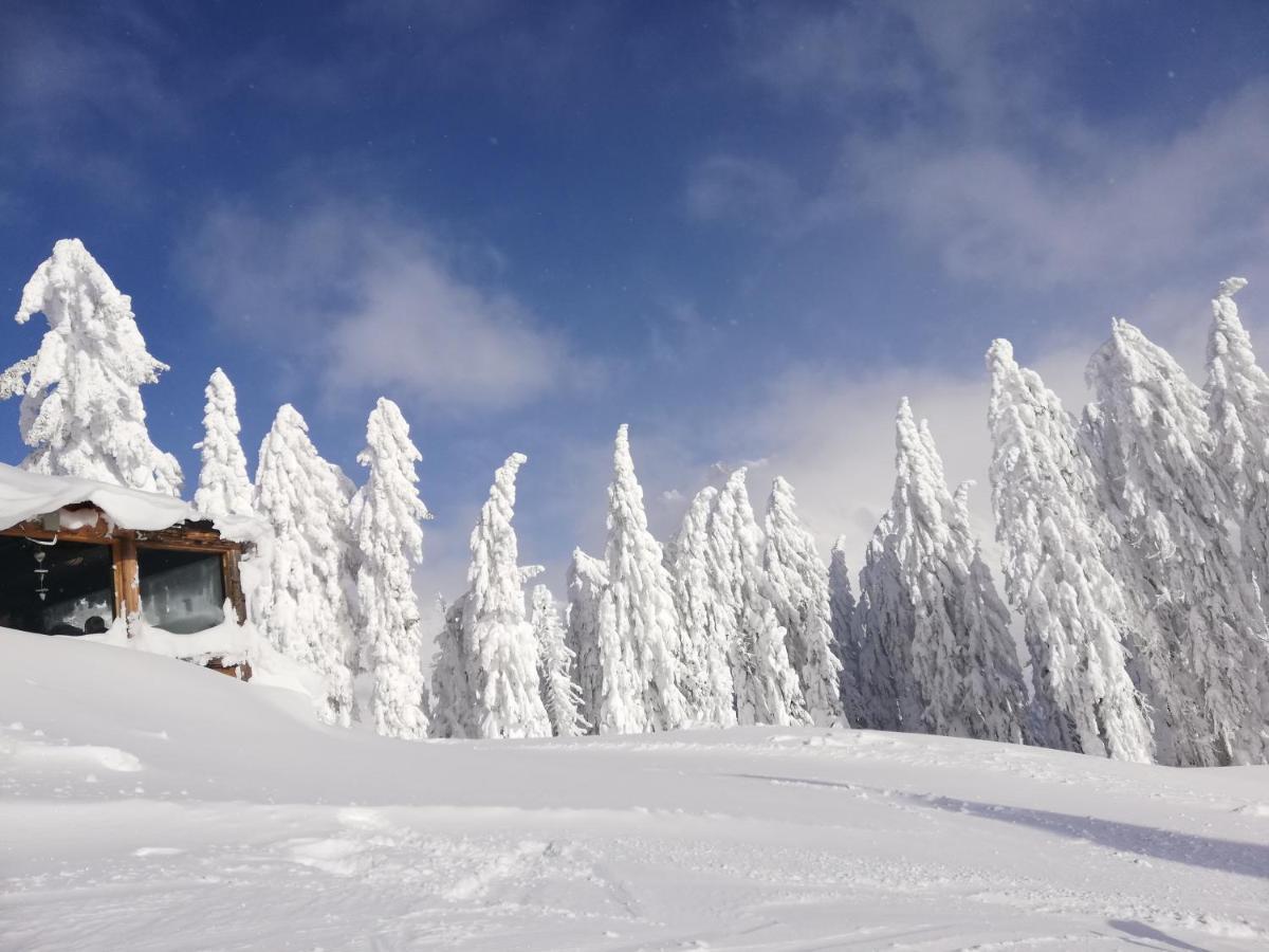 Haus Dienten Top 11 Dienten am Hochkönig Εξωτερικό φωτογραφία