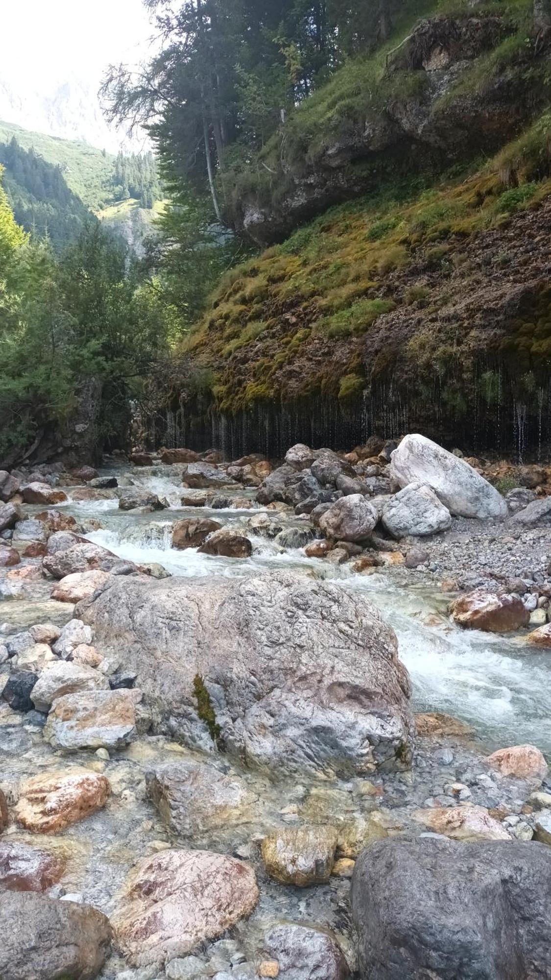 Haus Dienten Top 11 Dienten am Hochkönig Εξωτερικό φωτογραφία